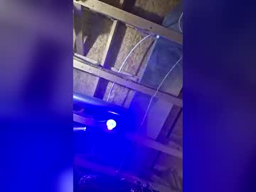 baillywilliams87