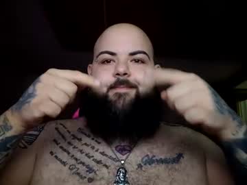 stallion_bear